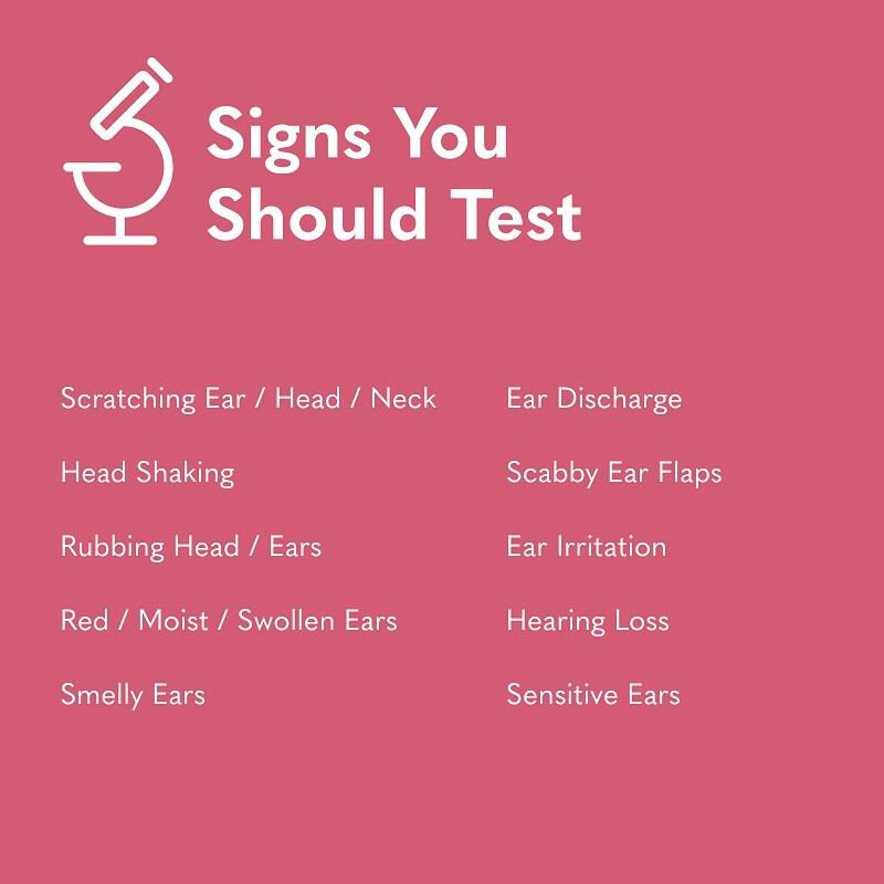 MySimplePetLab Ear Infection Cat Test Kit