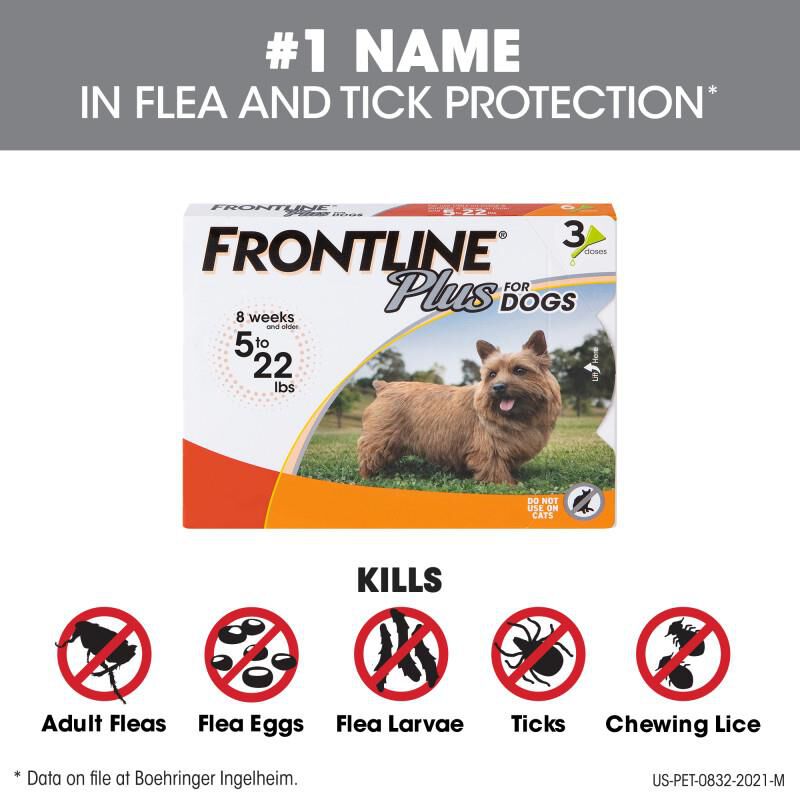Frontline Plus For Dogs