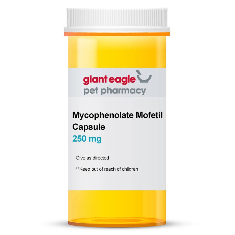 Mycophenolate Mofetil 250 mg Capsule