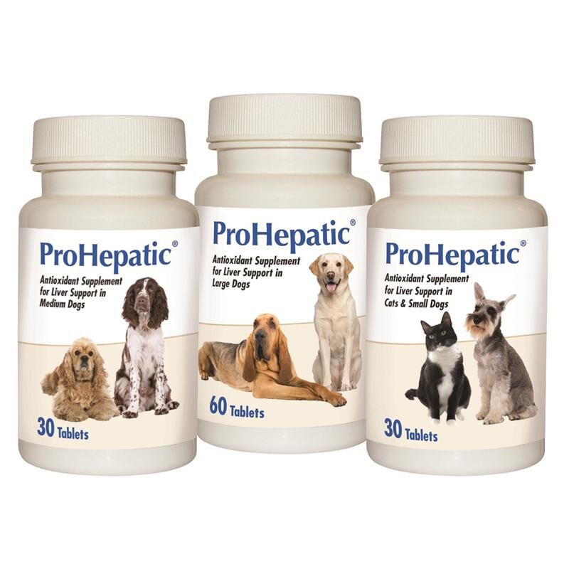 ProHepatic Liver Support Supplement