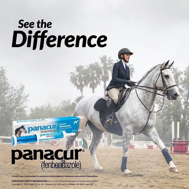 Merck Animal Health Panacur Paste 10% for Horses 100 mg