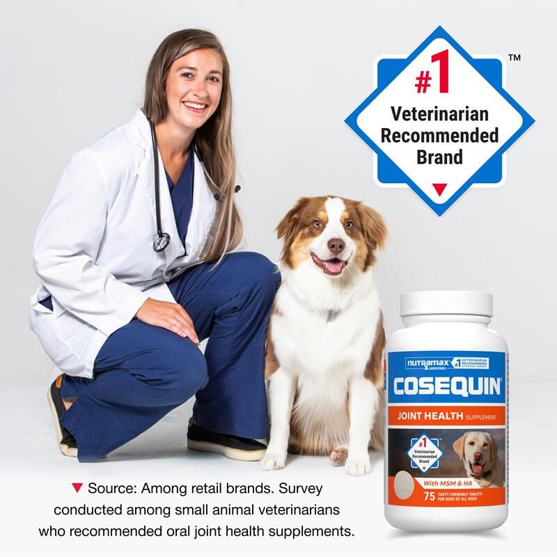 Nutramax Cosequin Maximum Strength Plus MSM and HA for Dogs, 75 Chew Tabs