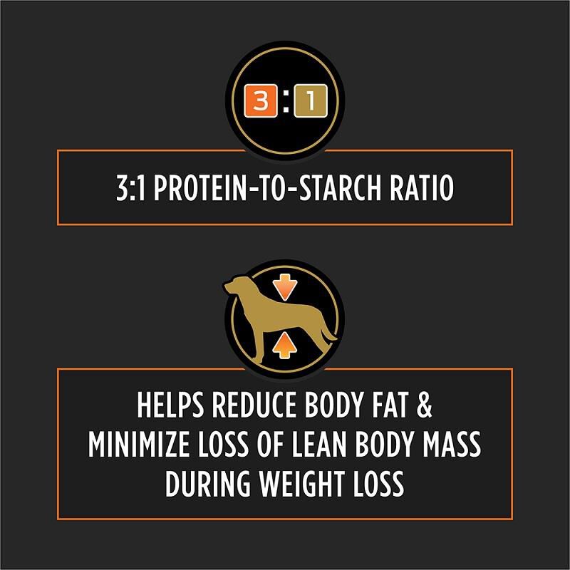 Pro plan on sale om dog food