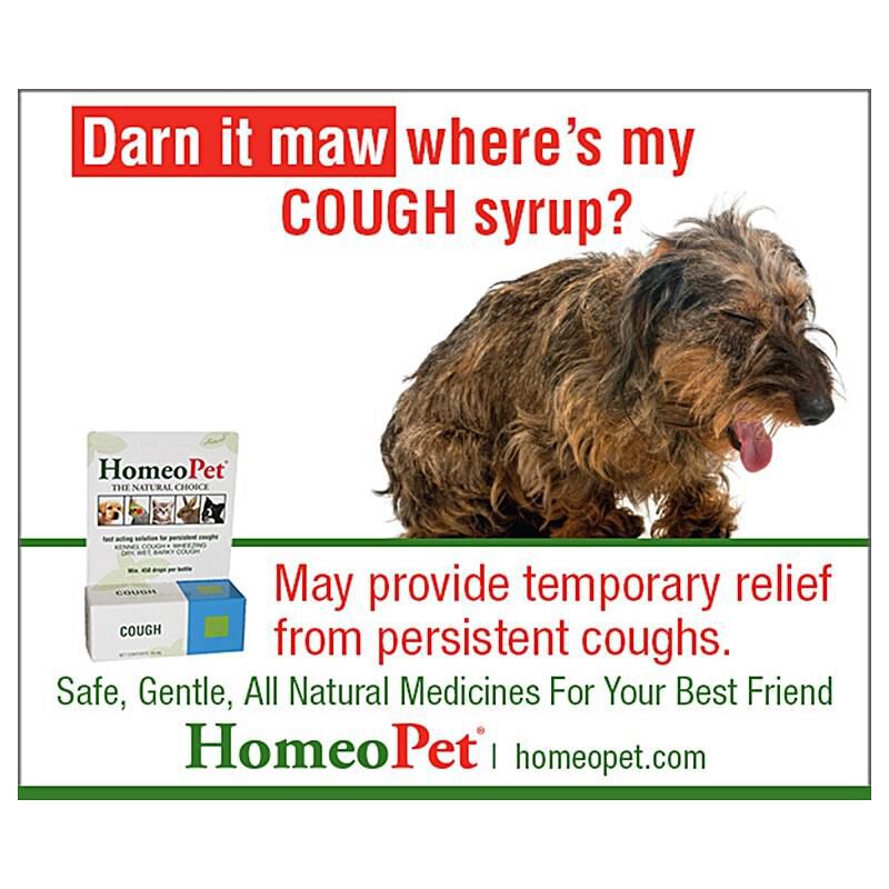 Best medicine for dog cough shop