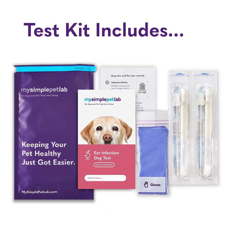 MySimplePetLab Ear Infection Dog Test Kit