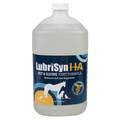 Halstrum, LLC. LubriSyn HA Pet and Equine Joint Formula Supplement for Horses, Dogs and Cats, 1 Gallon