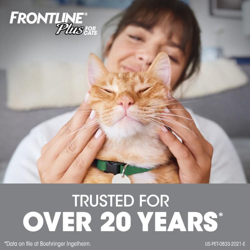 Frontline Plus for Cats and Kittens