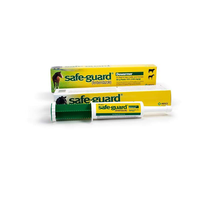 Safe-Guard paste 10% 92 gm