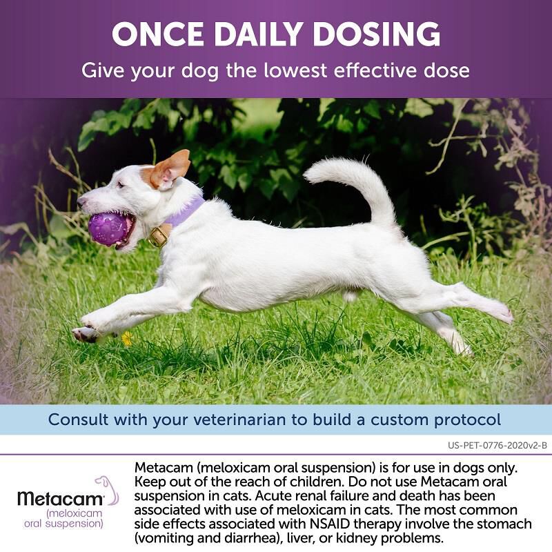Metacam 1.5 mg/ml Oral Suspension
