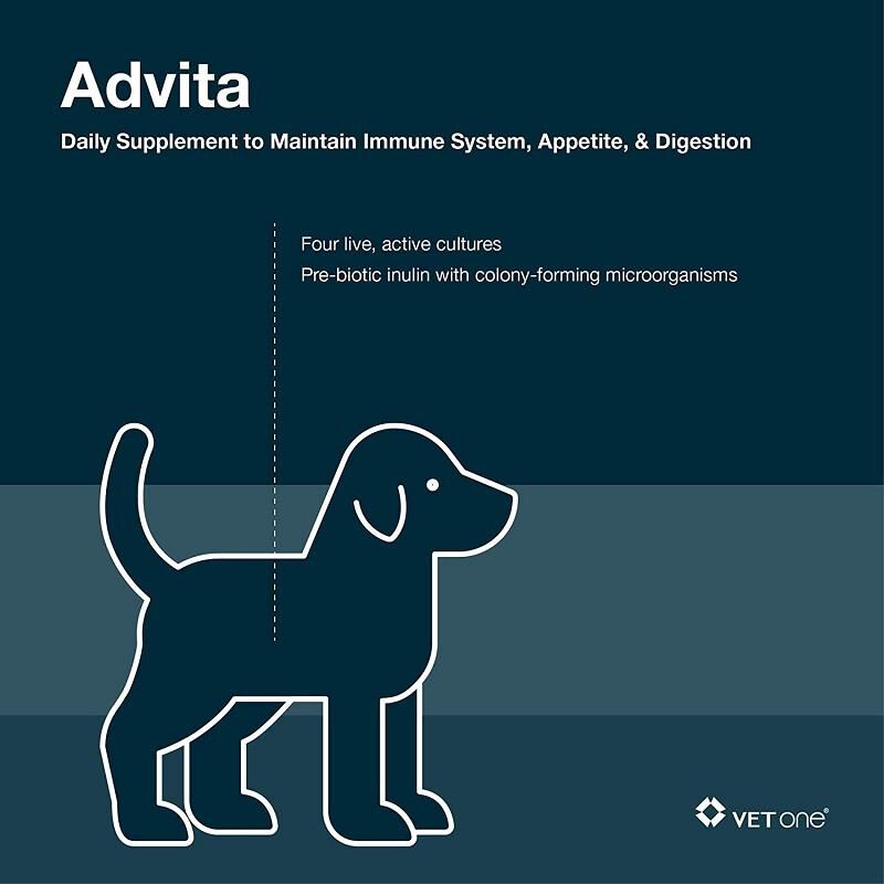 Advita probiotic online