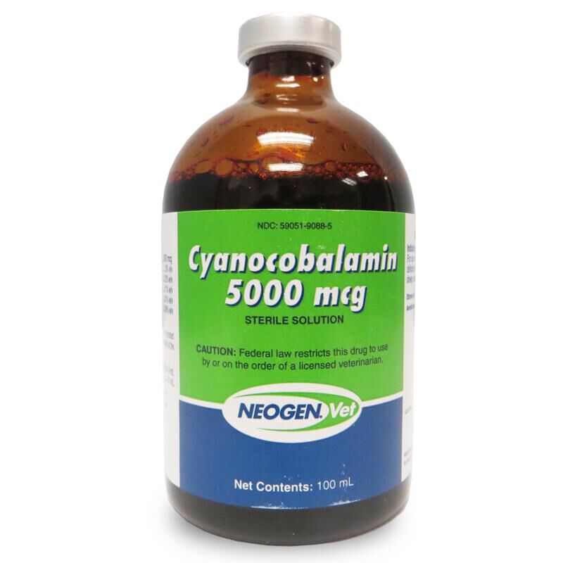 High Potency Vitamin B Complex 100 Ml Injection For Pets | Giant Eagle Pet Pharmacy High Potency Vitamin B Complex 100 Ml Injection For Pets | Giant Eagle Pet Pharmacy