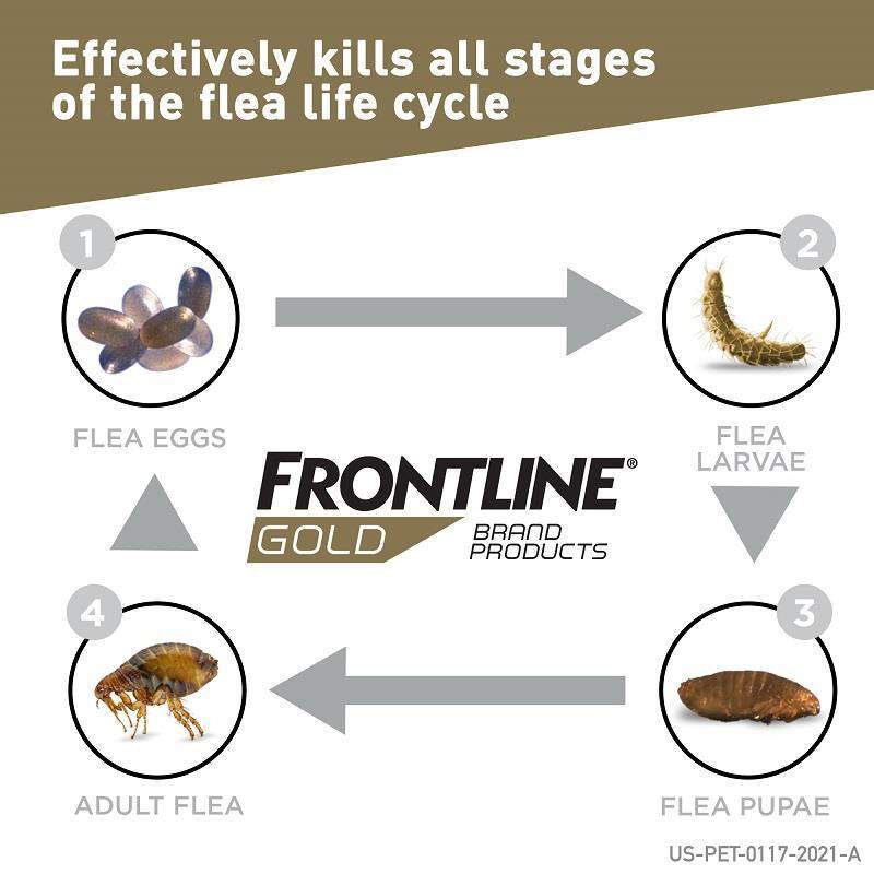 Frontline Gold for Cats and Kittens