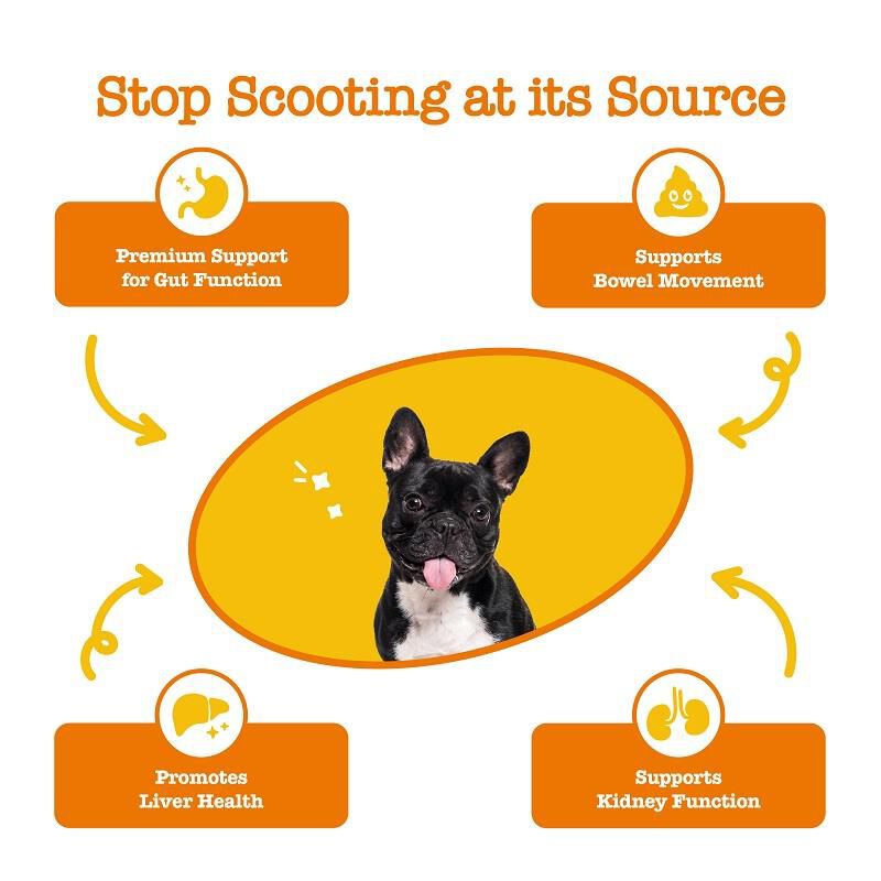 Zesty Paws Scoot Away Bites Gut Health Digestion Supplement for Dogs Chicken Flavor, 90 soft chews
