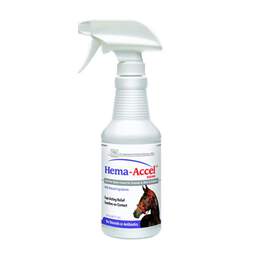 Hema-Accel Equine Wound Care Spray, 16 oz