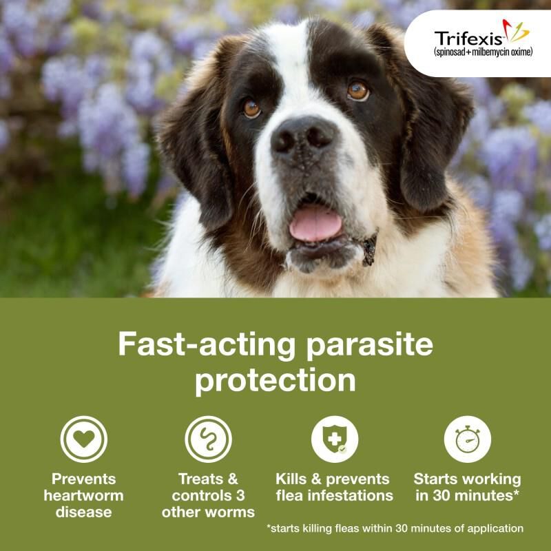Trifexis Chewable Tablets for Dogs 60.1-120 lbs Brown, 12 Month Supply