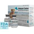 Adequan Canine Injection for Dogs, 100 mg/mL, 5 mL, 2 Vials