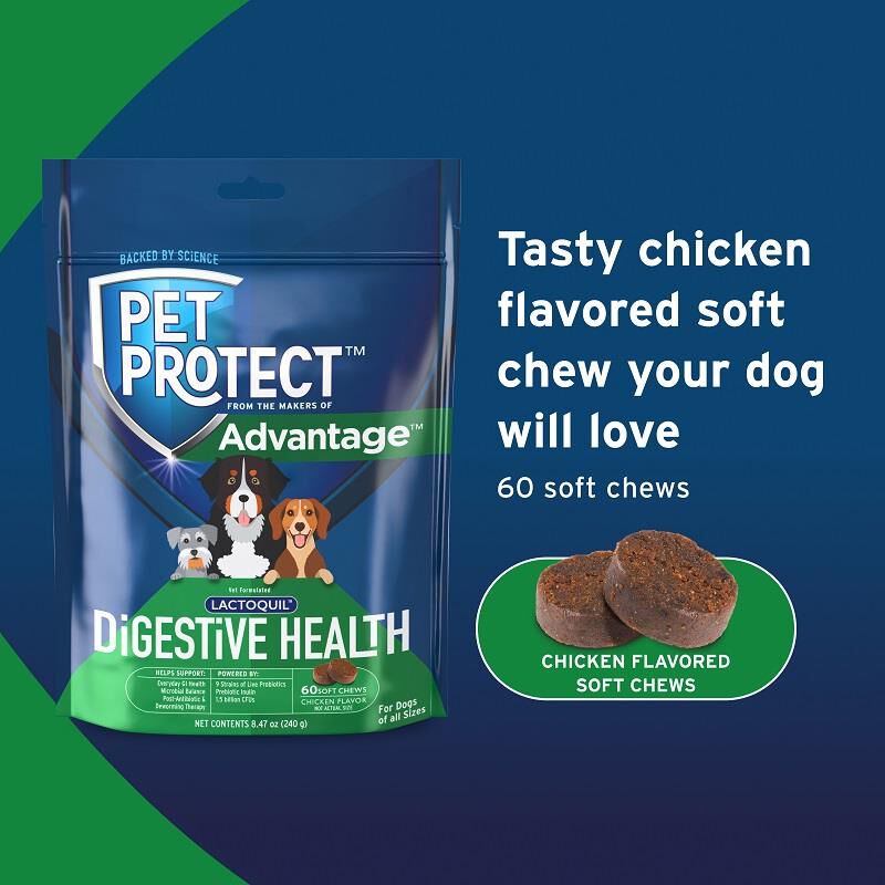 Pet Protect Digestive Health Lactoquil Soft Chews for Dogs 60 Ct