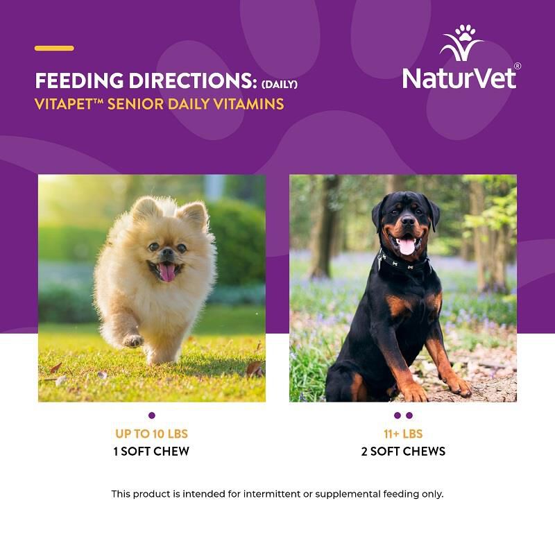 NaturVet VitaPet Senior Daily Vitamins Plus Glucosamine for Dogs, 60 Soft Chews