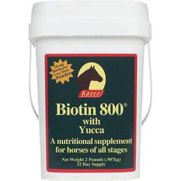 Biotin 800 Powder