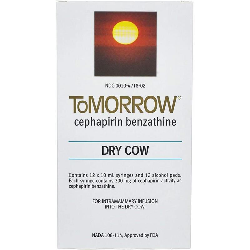 ToMorrow