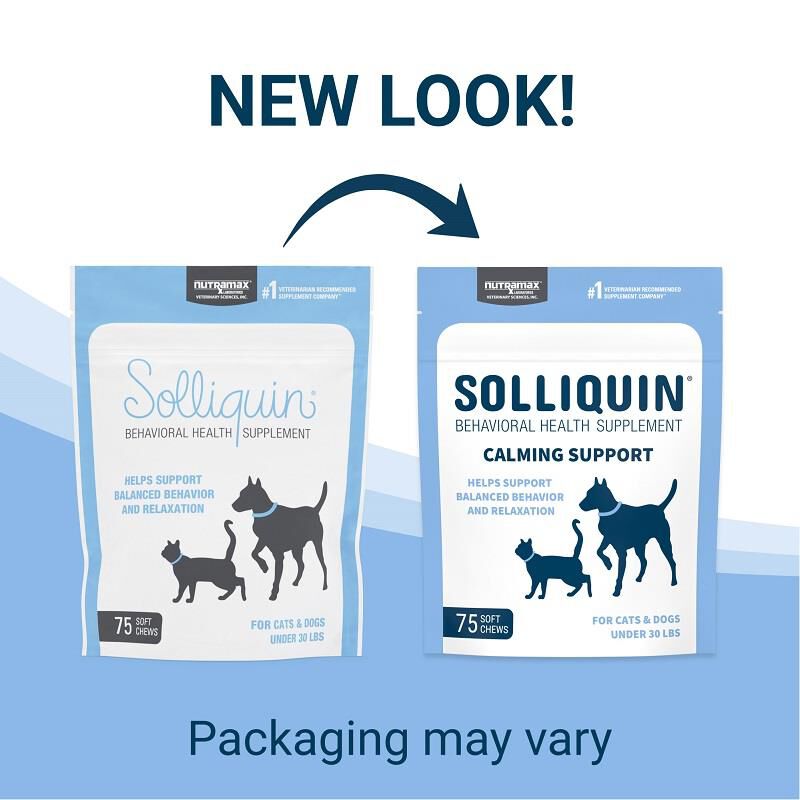 Solliquin for small dogs discount