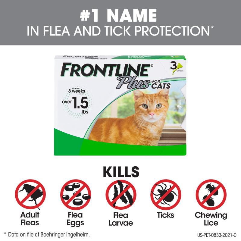 Frontline Plus for Cats and Kittens