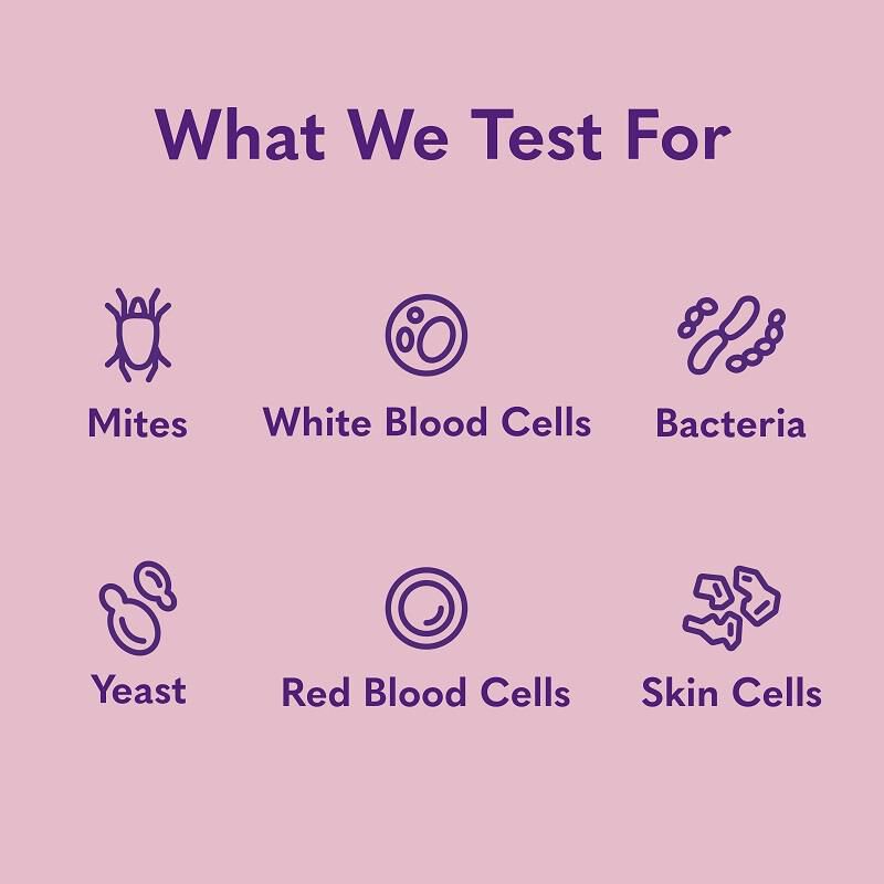 MySimplePetLab Ear Infection Dog Test Kit