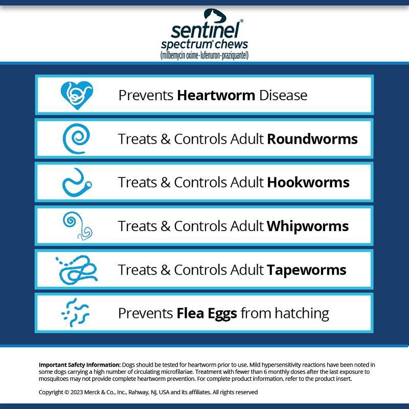 Sentinel Spectrum Chews for Dogs
