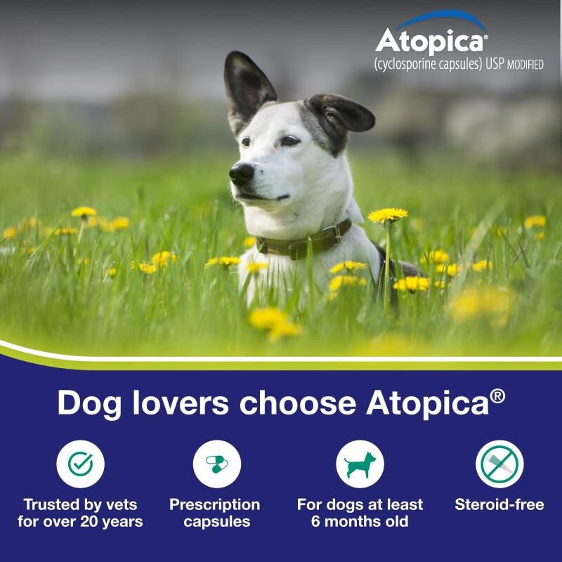 Atopica Capsules for Dogs
