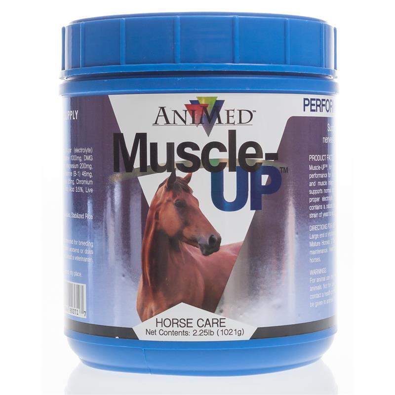 Muscle-UP Powder 2.25 lbs