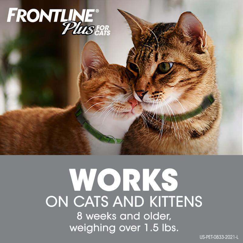 Frontline Plus for Cats and Kittens