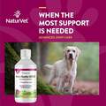 NaturVet ArthriSoothe-GOLD Joint Supplement, Level 3 Advanced Care Joint Support Liquid for Dogs and Cats 32 Oz