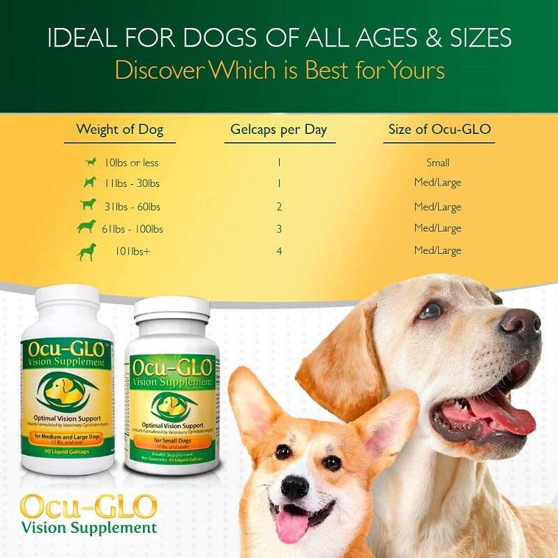 Ocu glo diabetic dog store