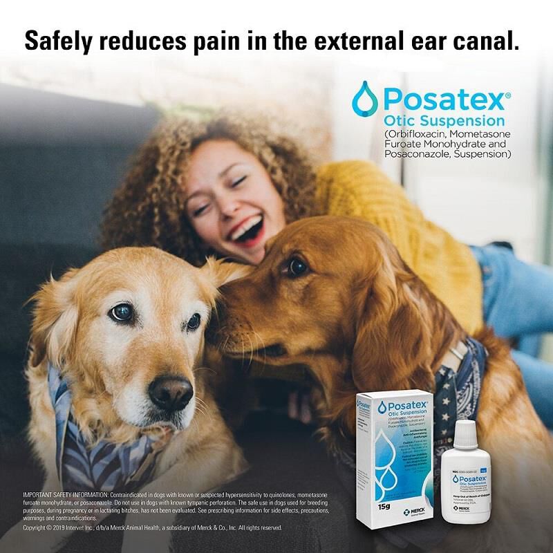 POSATEX Otic Suspension