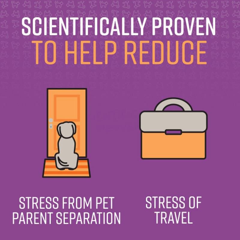SENTRY Calming Chews for Dogs, 60 Count