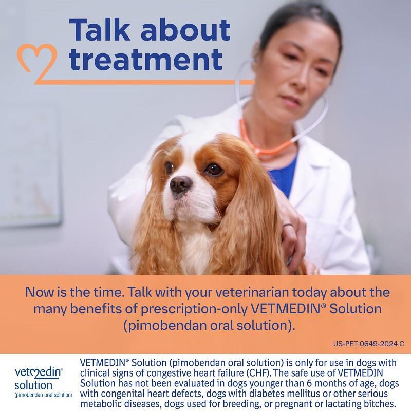 Chf Signs And Symptoms Of Dcm In Dogs Vetmedin Solution Mg/ml For