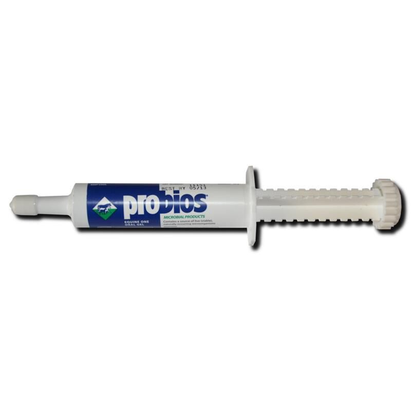 Vet Plus Probios Equine One for Horses, 1 syringe