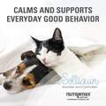Solliquin Behavioral Health Supplement for Small to Medium Dogs and Large Cats, 75 Soft Chews