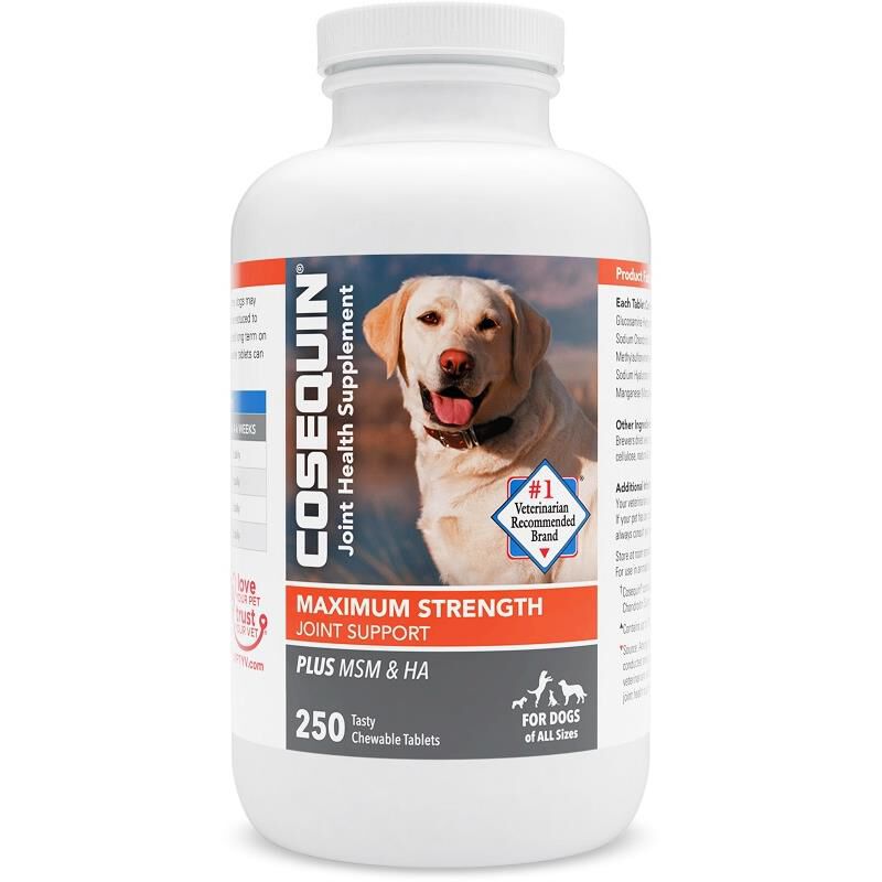 Cosequin Maximum Strength Plus MSM & HA Joint Health Supplement for Dogs, 250 Chew Tabs