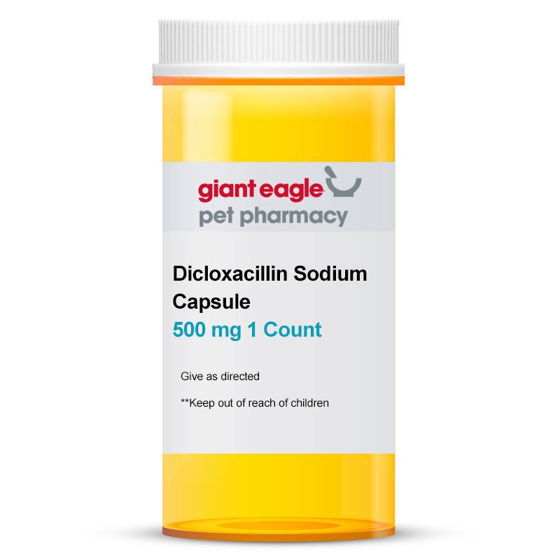 Dicloxacillin Sodium Capsule, 500 mg 1 Count