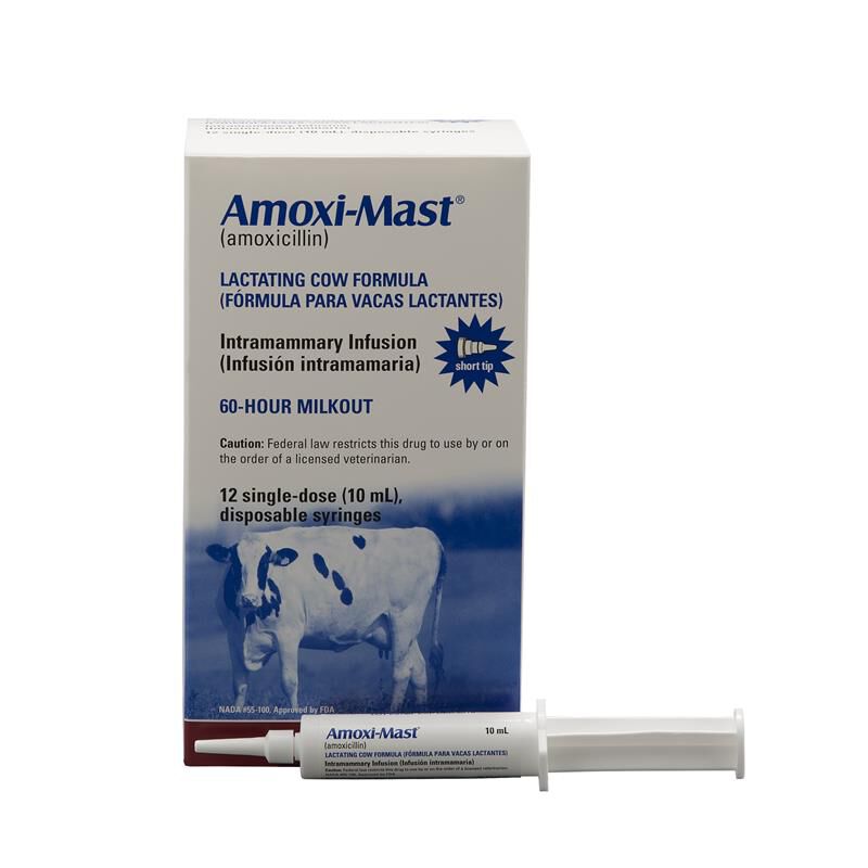 AmoxiMast 12 Tubes
