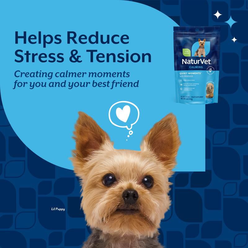 NaturVet Quiet Moments Calming Aid Plus Melatonin, 65 Soft Chews