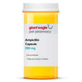 Ampicillin 500 mg Capsule