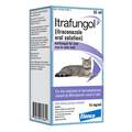Itrafungol (Itraconazole) Oral Solution for Cats 10 mg/ml, 52 ml
