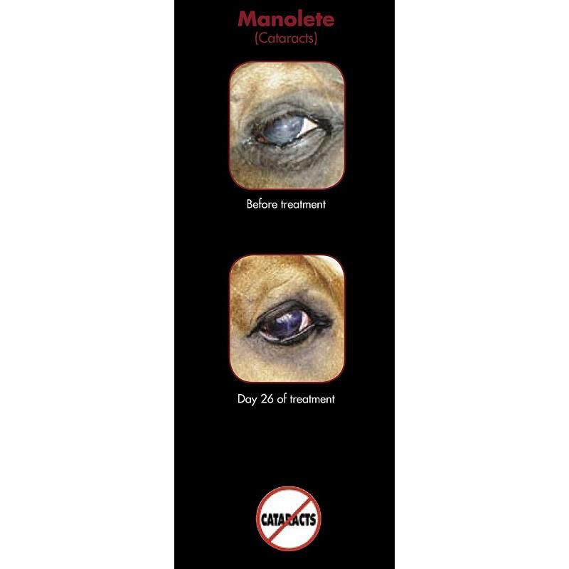 EquiVision Lubricating Eye Drops, 6 x 4 ml