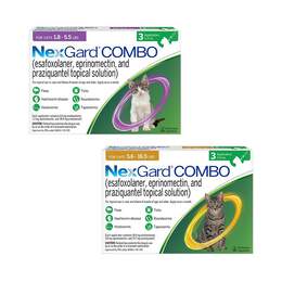 NexGard COMBO Topical for Cats and Kittens
