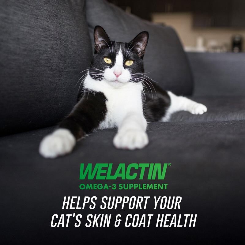 Welactin Feline Omega-3 Liquid Supplement, 4 oz