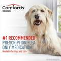 Comfortis Chewable Tablets for Dogs 40.1-60 lbs Blue, 6 Month Supply
