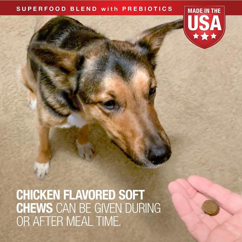 VetIQ MultiVitamin Health Support Supplement Soft Chews for Dogs, 90 Count