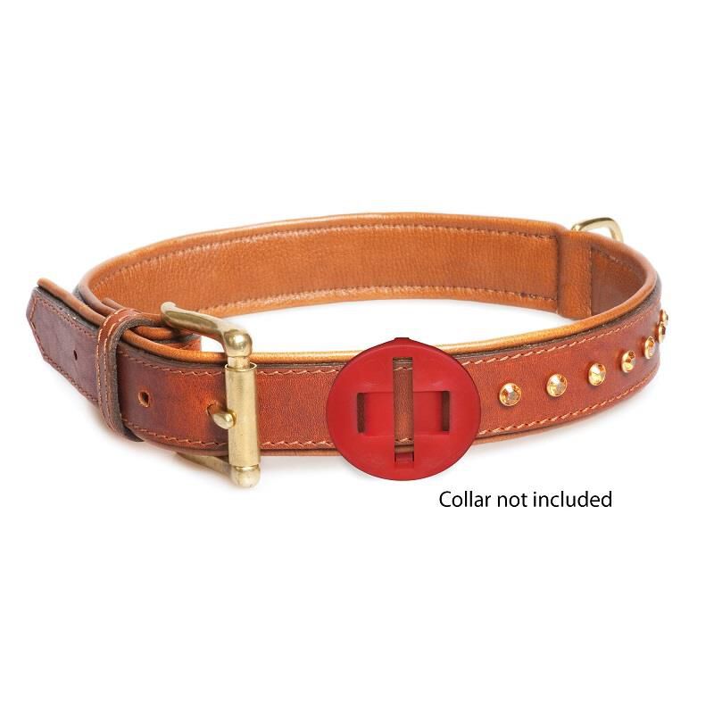 Calm Paws Calming Disk Medallion for Dogs